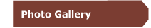 Photo Gallery
